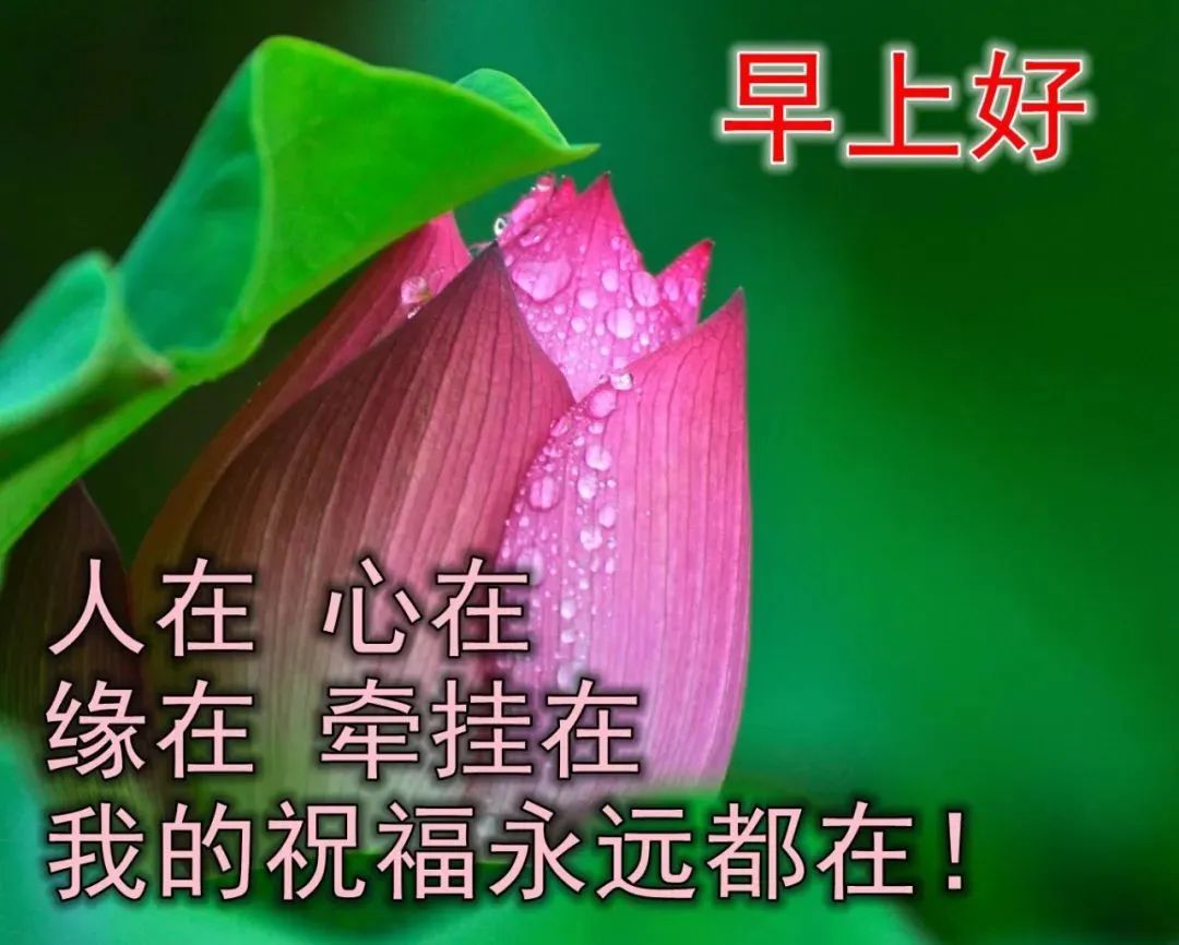 淘宝上开店费用_开店费用淘宝多少_淘宝开店费用