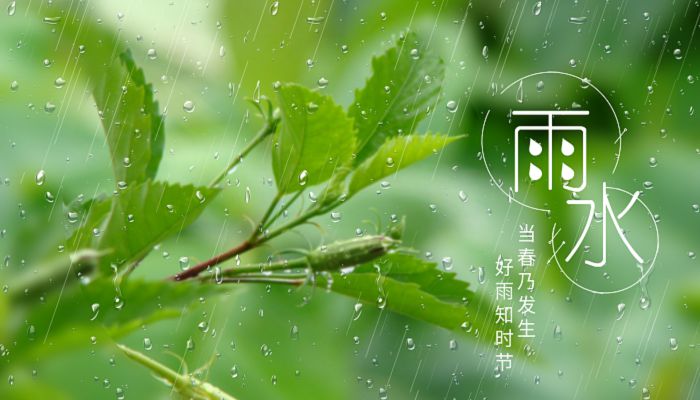 雨水是啥意思是什么_雨水是什么意思_雨水意思是什么