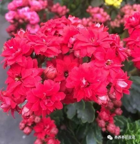 重置数据手机游戏会恢复吗_怎样重置游戏数据_手机重置游戏数据