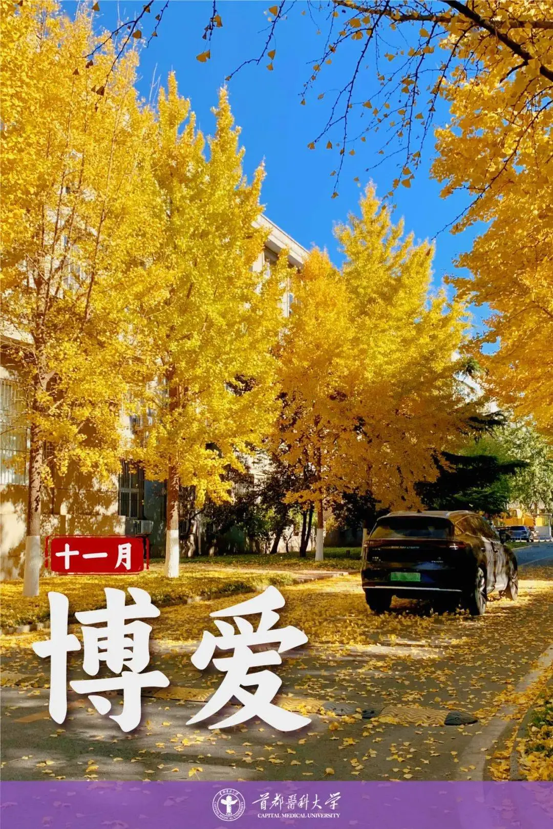 崔三娘眼罩怎么去掉_崔三娘_崔三娘捏脸