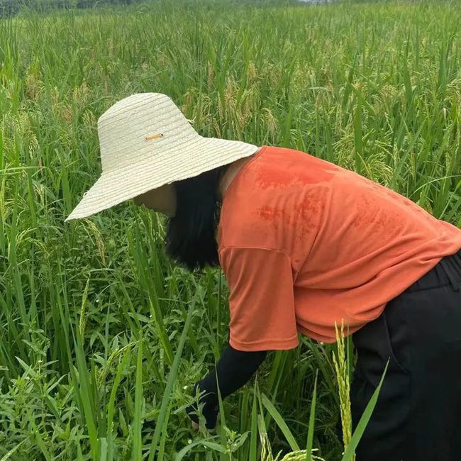 青春变形记免费_青春变形记电影在线观看完整版免费_青春变形记动画电影