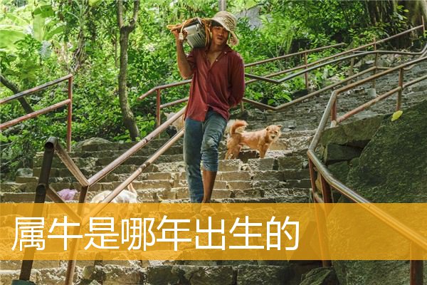 属年的今年多大_属年1994_1985年属什么