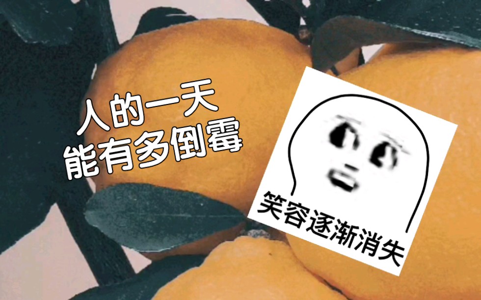 玩游戏输了打手机摔了_打游戏输了砸手机搞笑视频_打游戏输了摔手机表情包