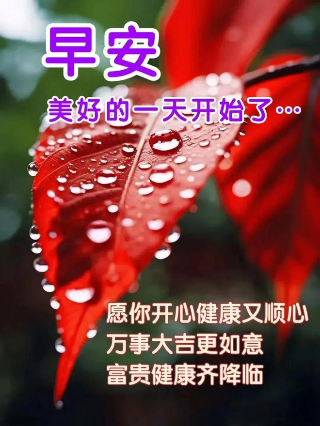 坂上鹰文_坂上鹰文_坂上鹰文