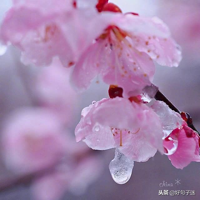 大雪吃什么_大雪吃啥有讲究吗_大雪吃什么美食好