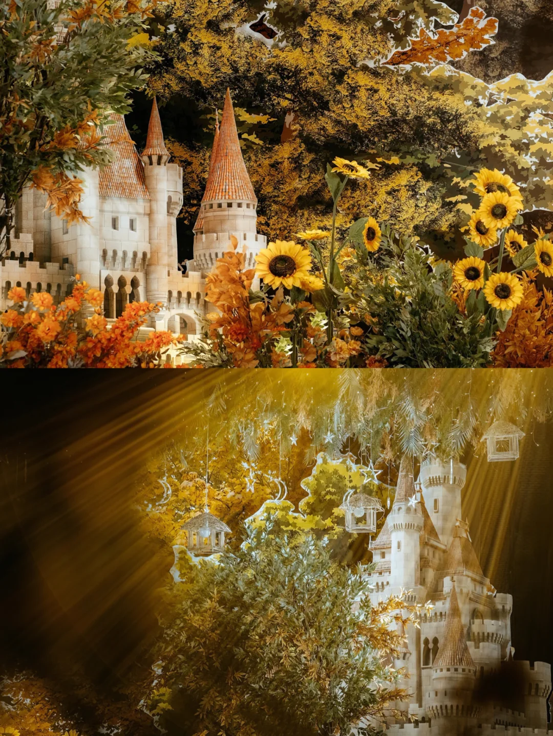 宫波葵_宫波葵_宫波葵