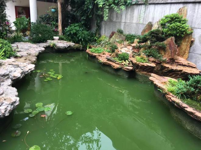 git设置密码_密码设置推荐_密码设置什么数字好