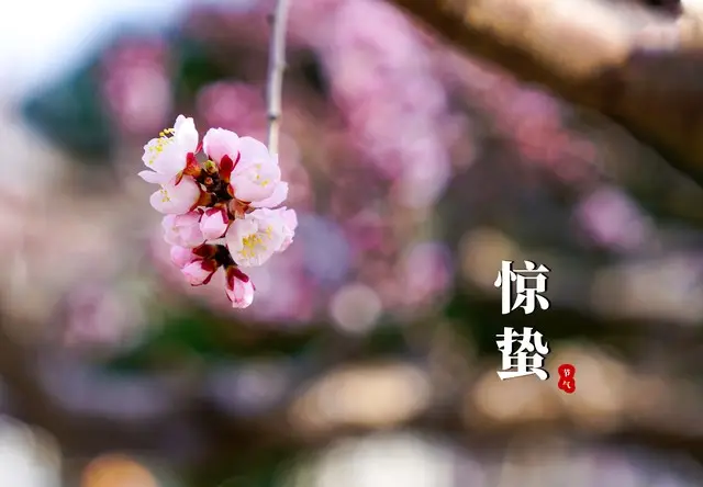 惊蛰的意思是惊醒_惊蛰是什么意思_惊蛰的意思(简单)