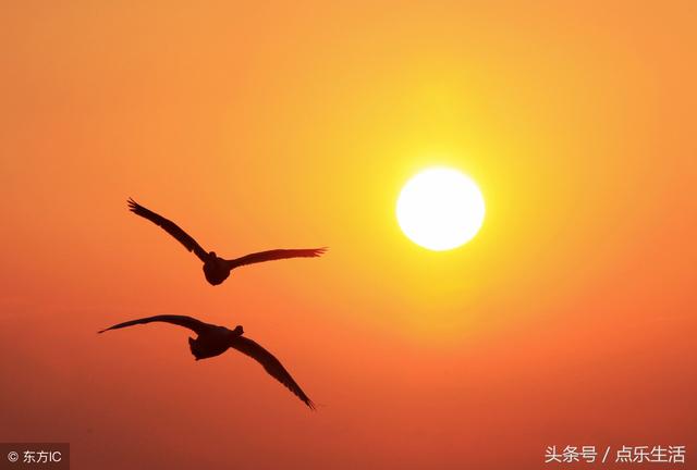 瑞吉儿加德纳表情包_瑞吉儿·加德纳_瑞吉儿加德纳超清壁纸