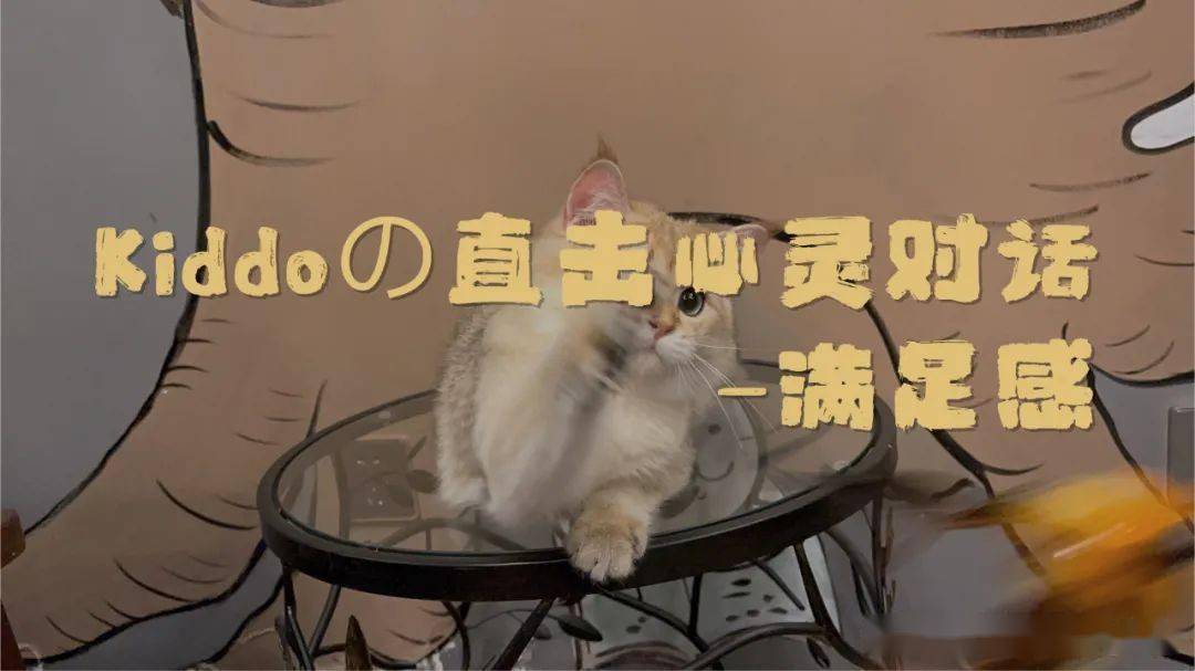 训练小游戏_训练手机游戏推荐_训练的手机游戏