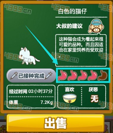 养猫的手机游戏_养猫类的手机游戏_养猫猫的手游