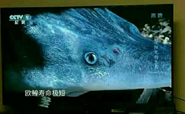 网易版双人手机游戏有哪些_网易版双人手机游戏推荐_双人手机游戏网易版