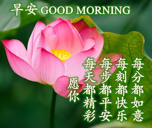 乱臣贼子_贼子乱臣的歇后语有哪些_贼子乱臣是什么生肖