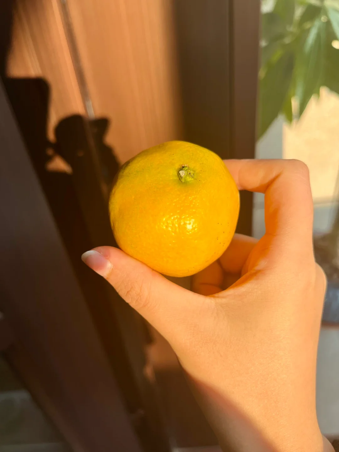芭芭农场能换树吗_芭芭农场的果树如何更换水果_芭芭农场怎么换果树