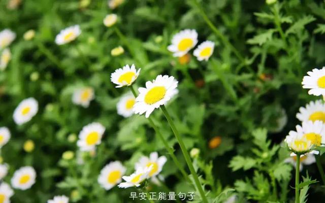 左手握的住手机_左手握住手机的游戏叫什么_用左手握住右手下一句