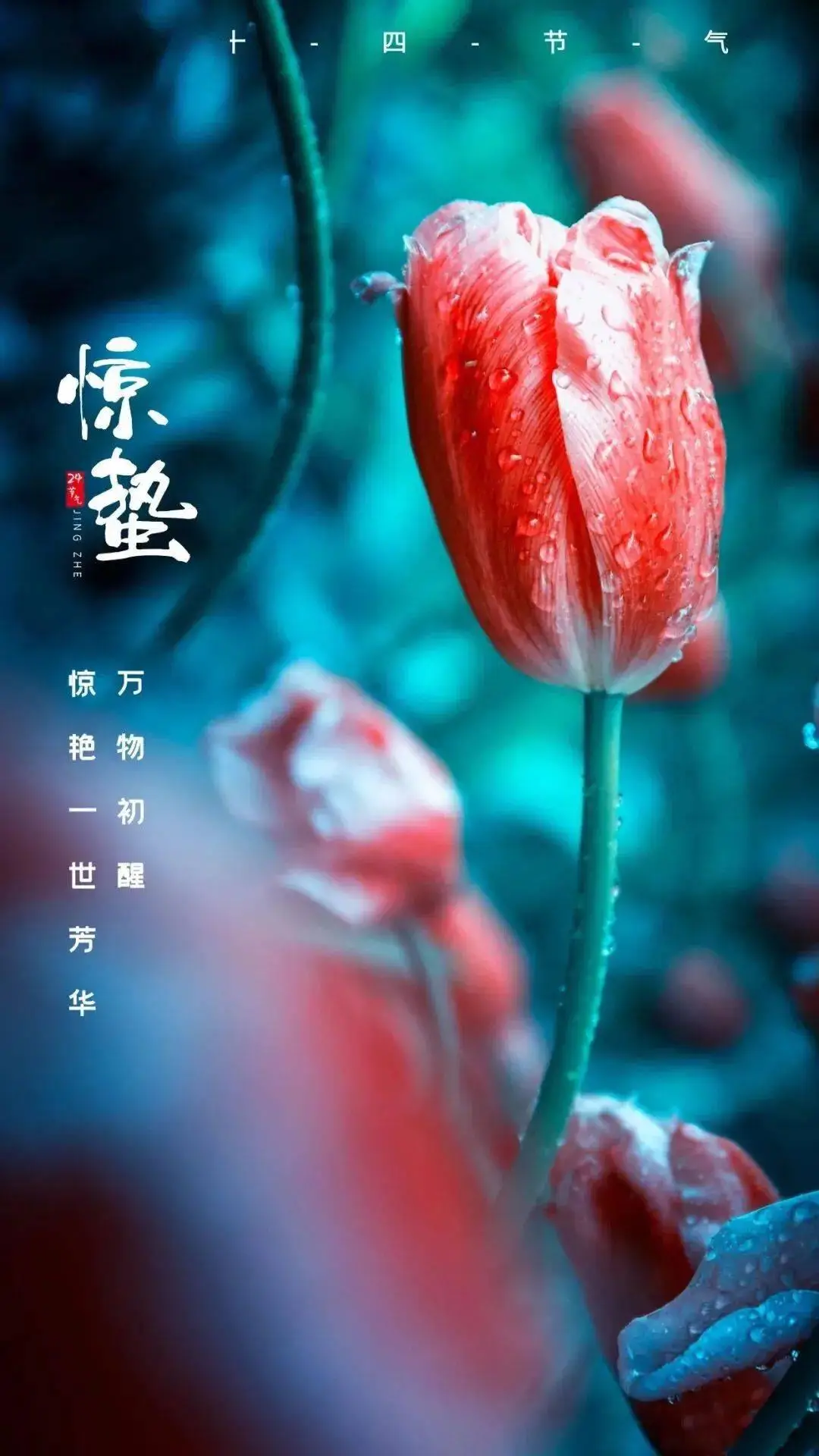 二十四节气惊蛰_节气惊蛰的读音_节气惊蛰的拼音