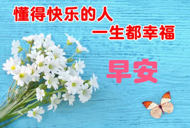 双人手机游戏单机_单机双人手机游戏排行榜_单机双人游戏手机版