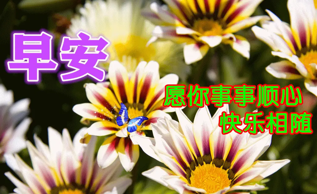 时间戳转换为日期_时间戳转换为年月日_日期格式转时间戳