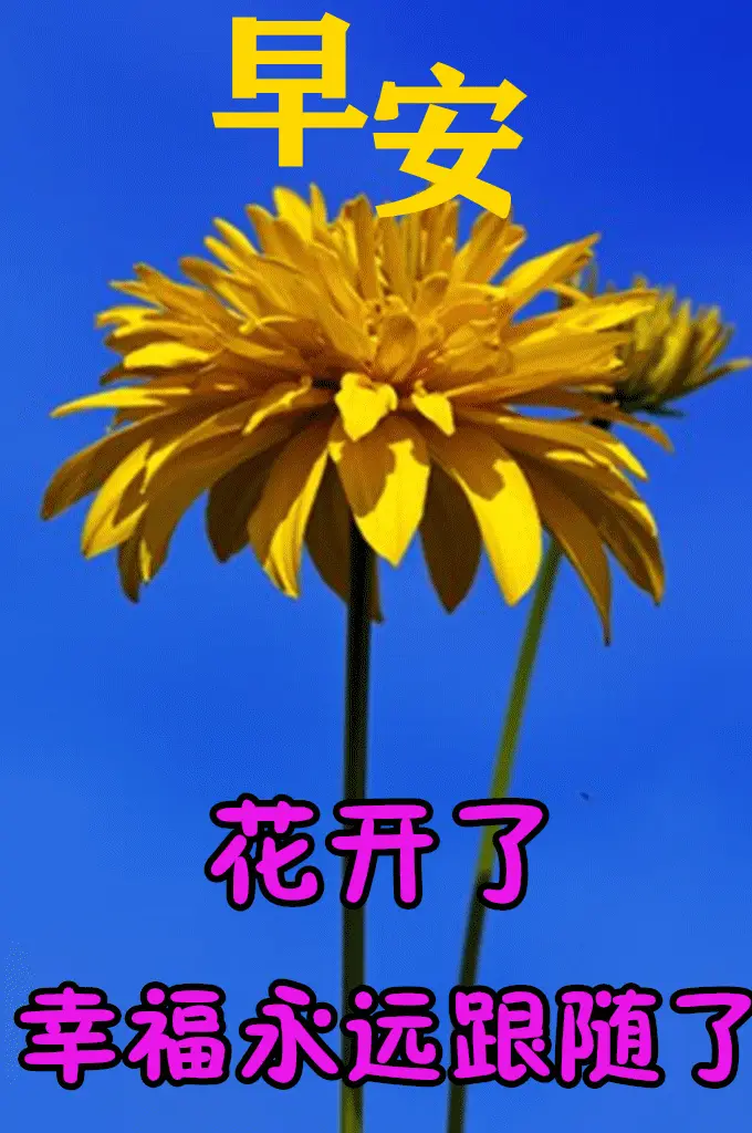 日期格式转时间戳_时间戳转换为日期_时间戳转换为年月日