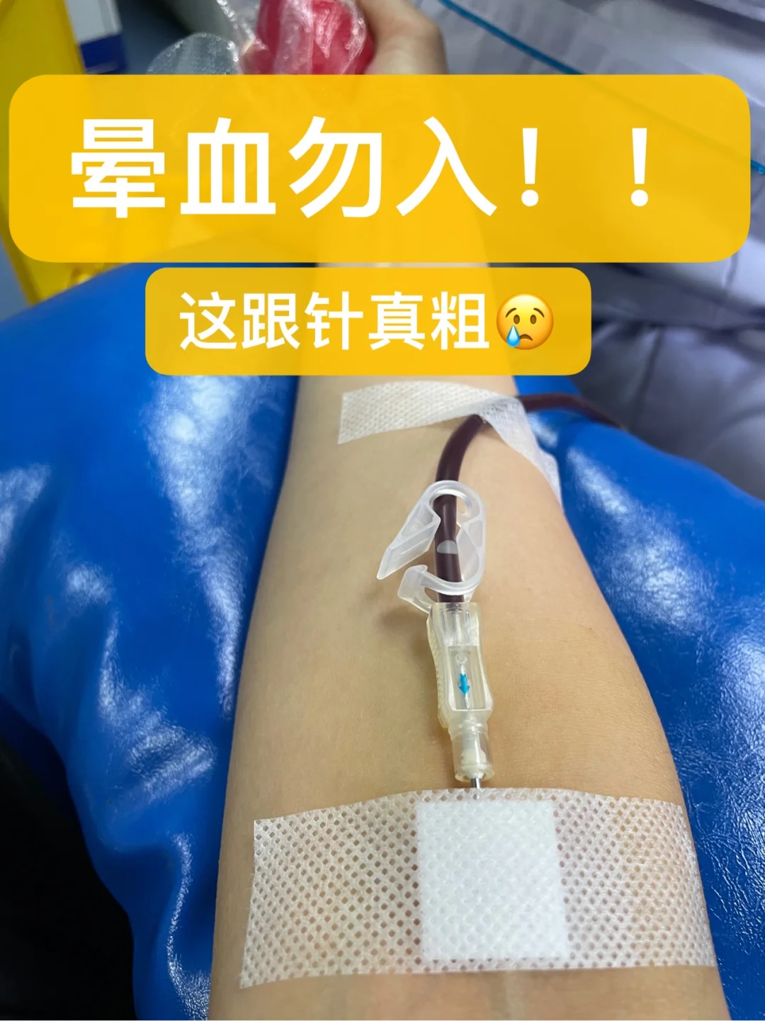 献血后可以玩游戏吗_献血后能不能玩手机游戏_献血可以玩手机吗