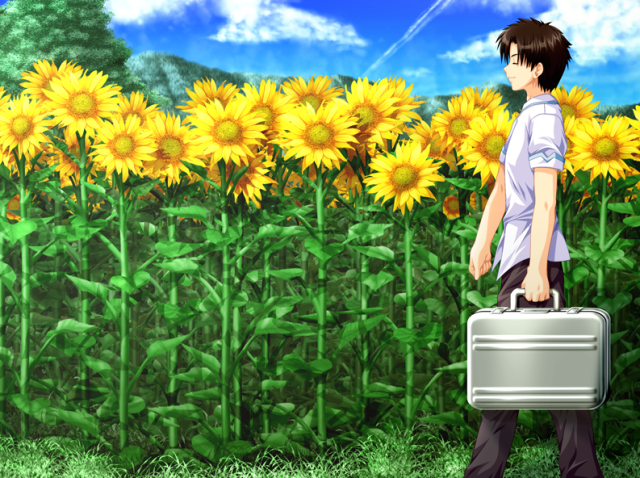 galgame神作_个人galgame_galgame吧