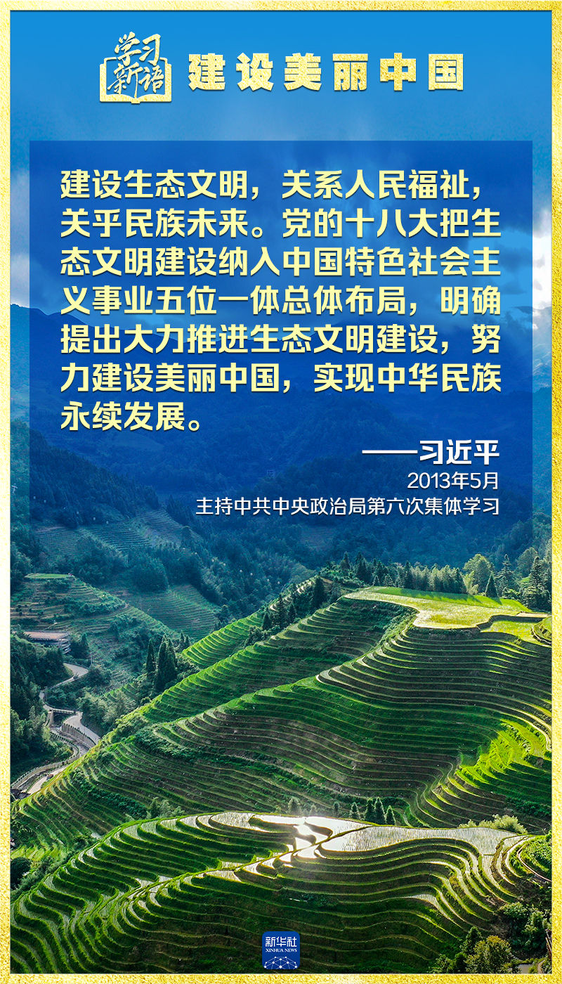 手机游戏培训班_学习的手机游戏_手机能学知识的游戏有什么