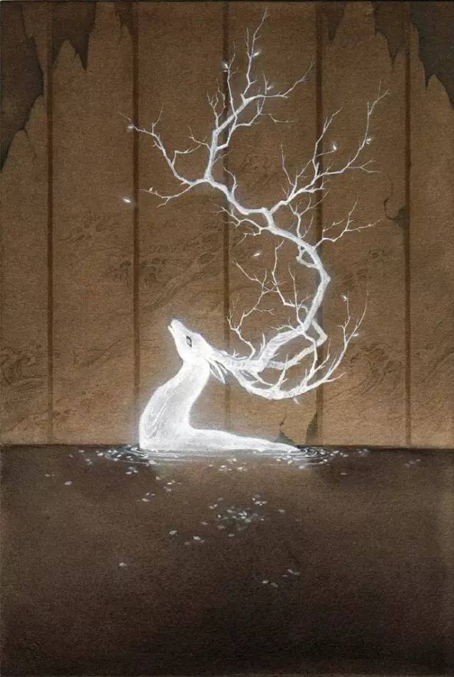 微博兽爷是谁_有兽焉微博_兽图微博