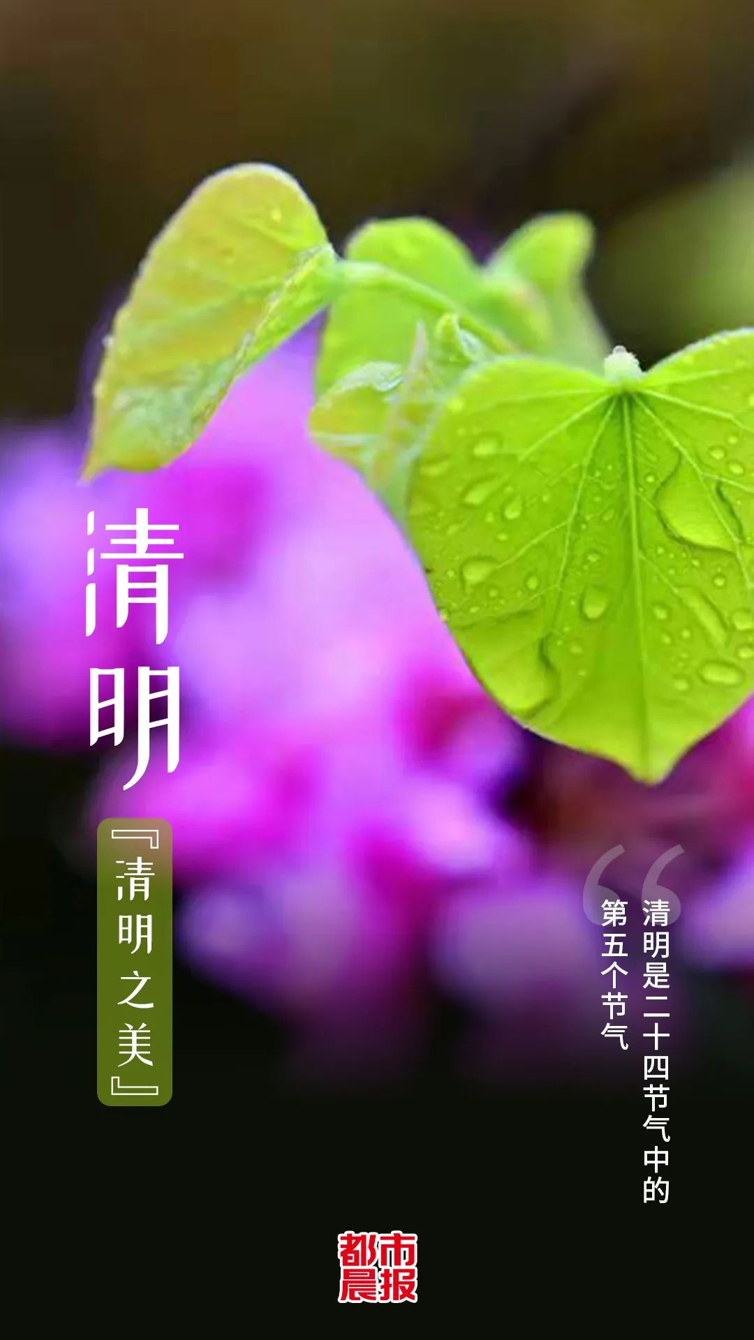 清明节天亮时间_清明节哪天_清明节天天手抄报