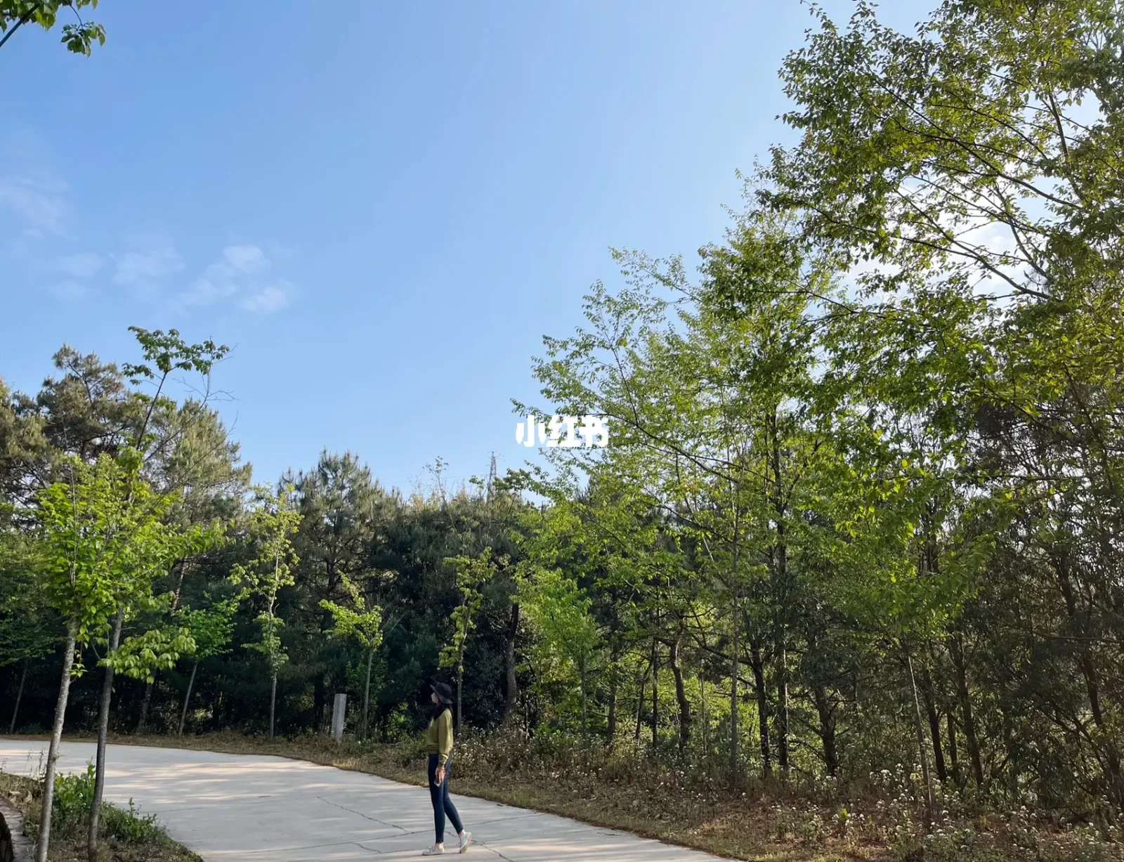 9月12号_号脉左手是什么右手是什么_号用英语怎么说