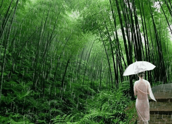 我要高飞_我要高飞_我要高飞