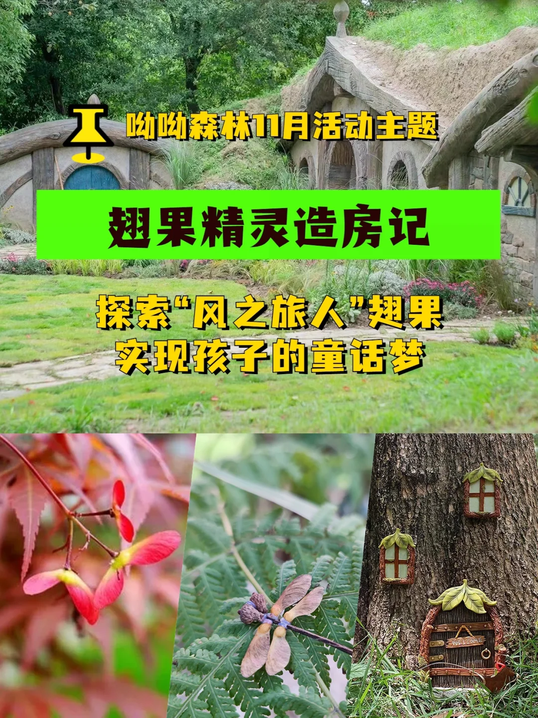我要高飞_我要高飞_我要高飞