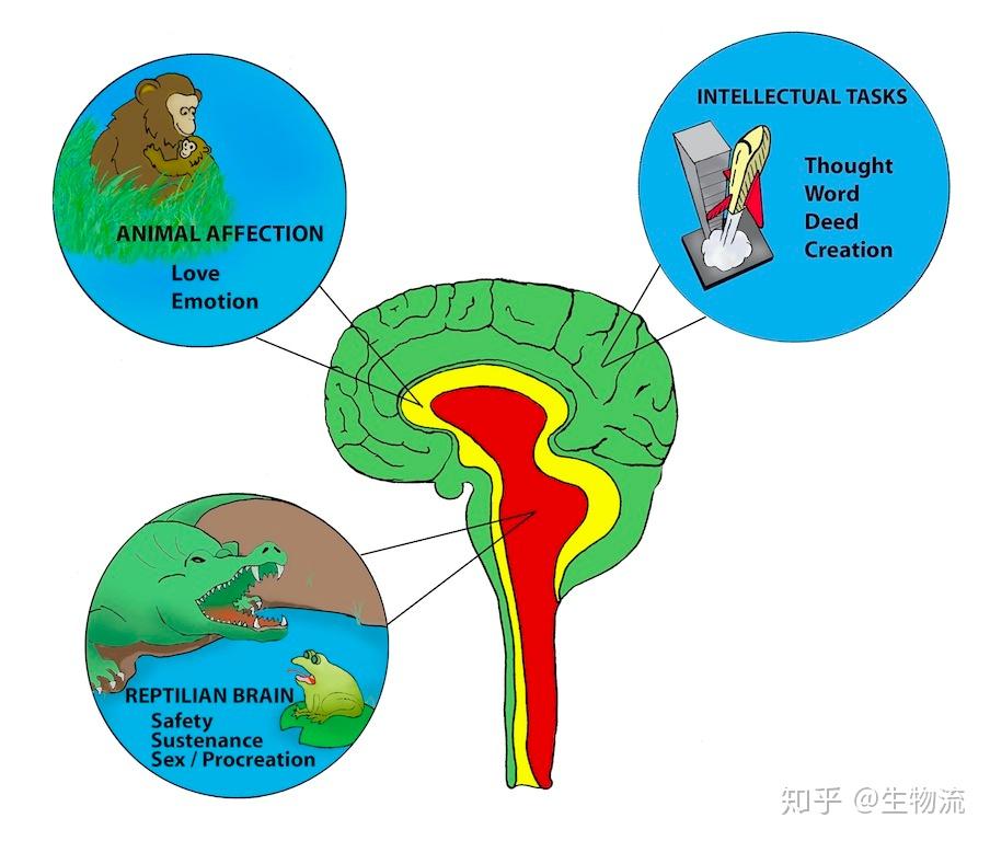 电脑是什么_电脑是哪一年发明的_电脑的system是什么