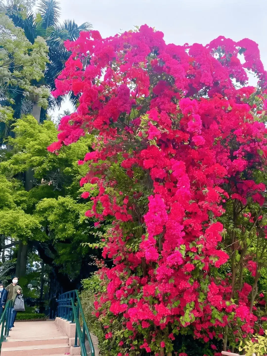 布莱德诺亚_布莱德诺亚是新人类吗_布莱德诺亚名言