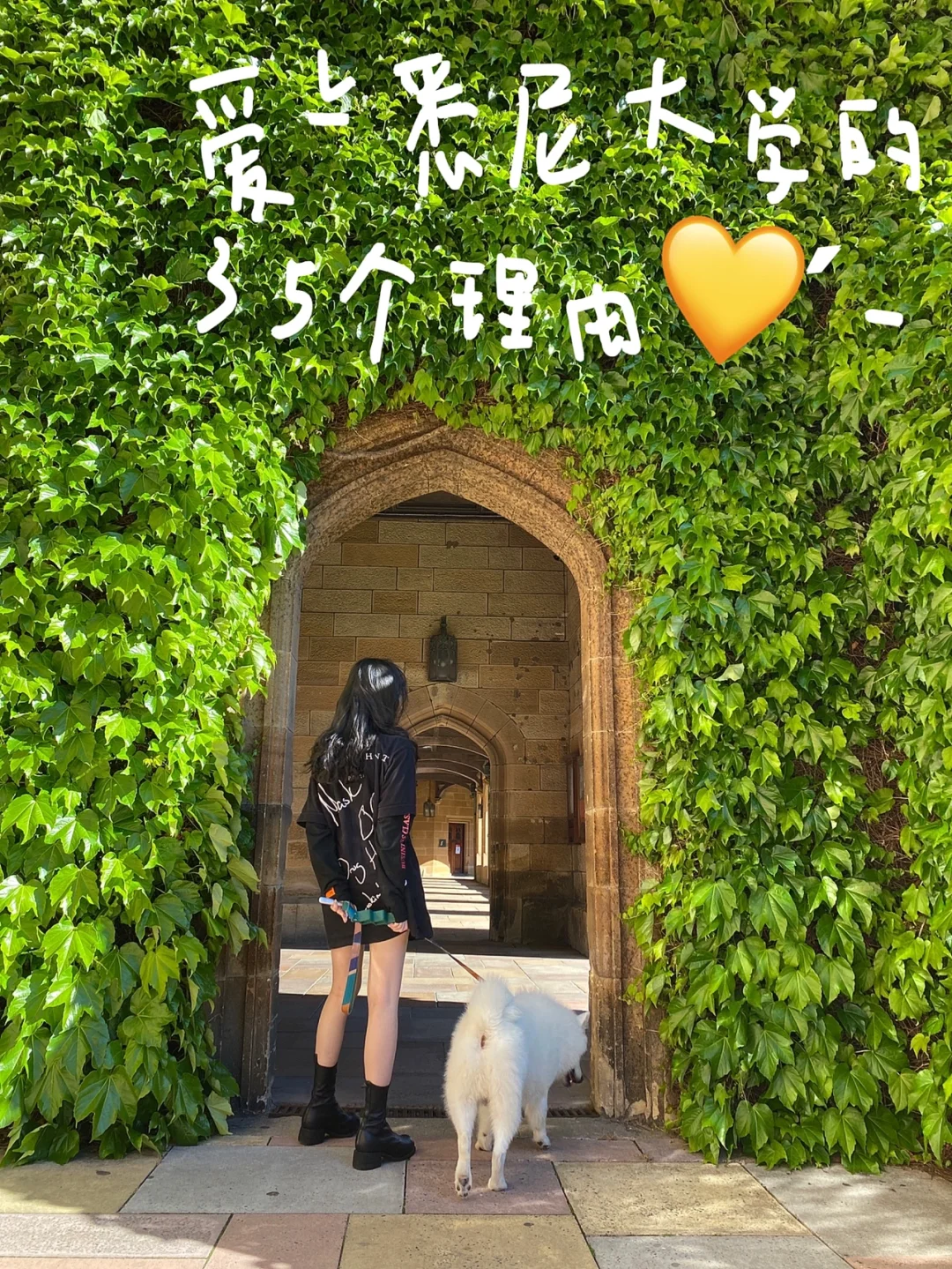 所罗门之书_所罗门_所罗门宝藏