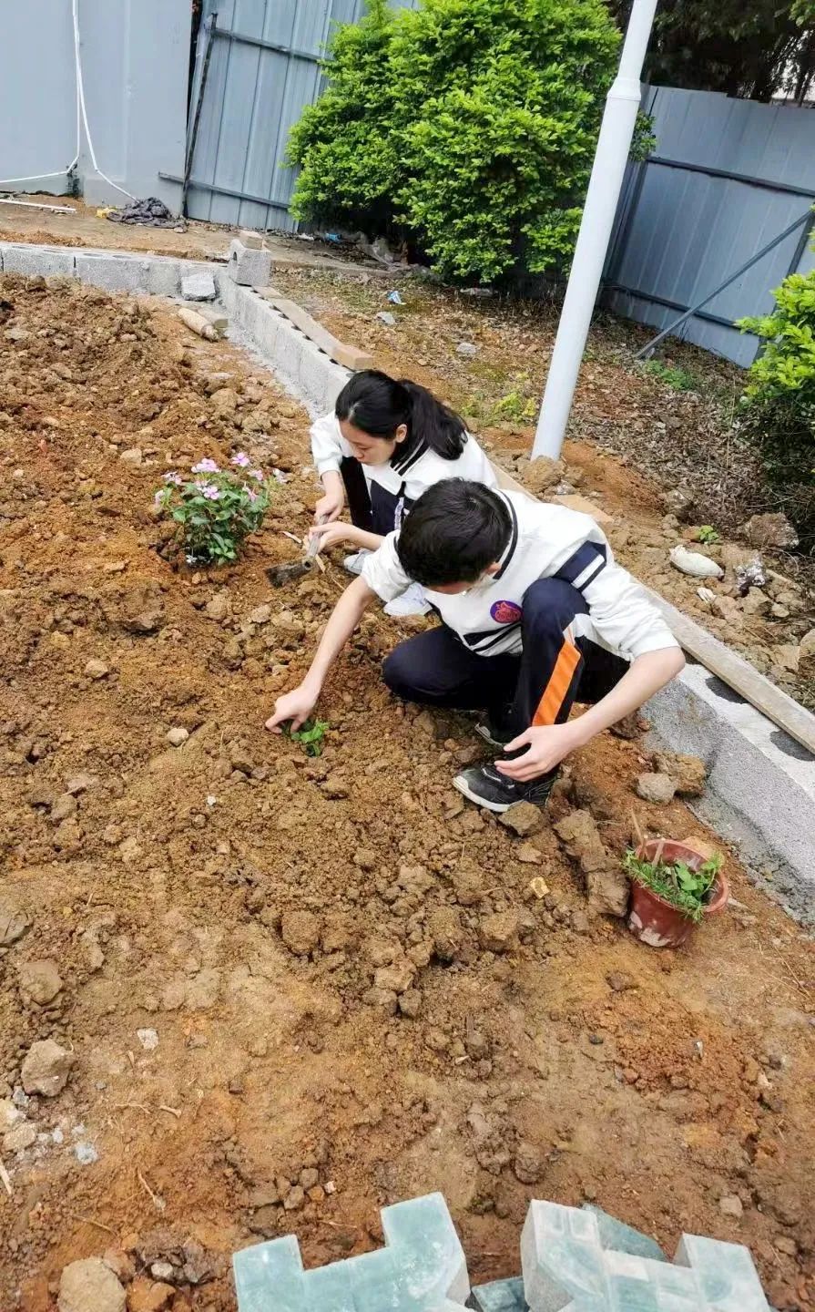 动土日子怎么选择_动土_动土什么意思