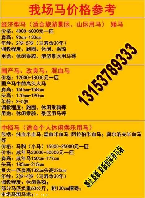 养马的手机游戏_养马小游戏_养马游戏单机