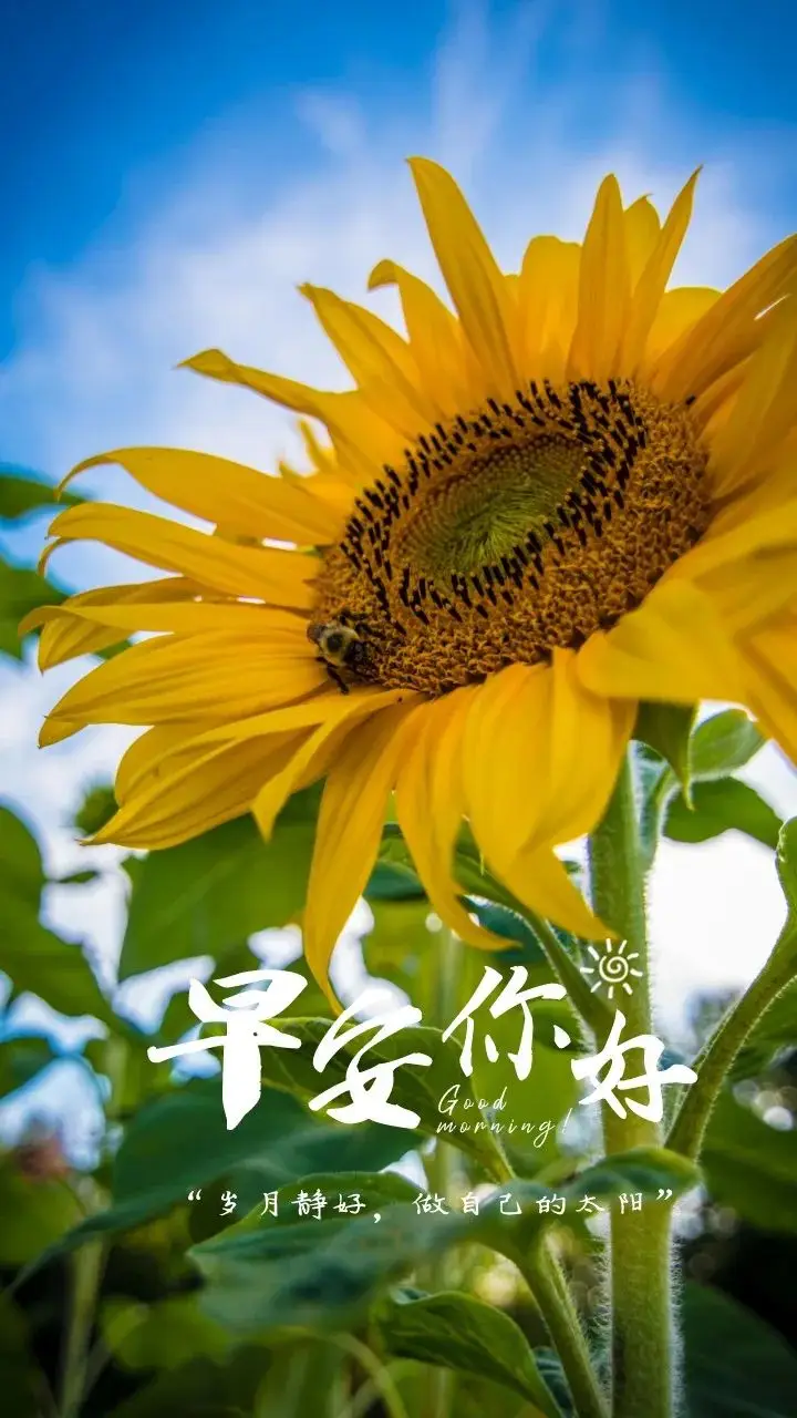 手游开发外包平台_外包手机游戏开发_外包开发手机游戏有哪些