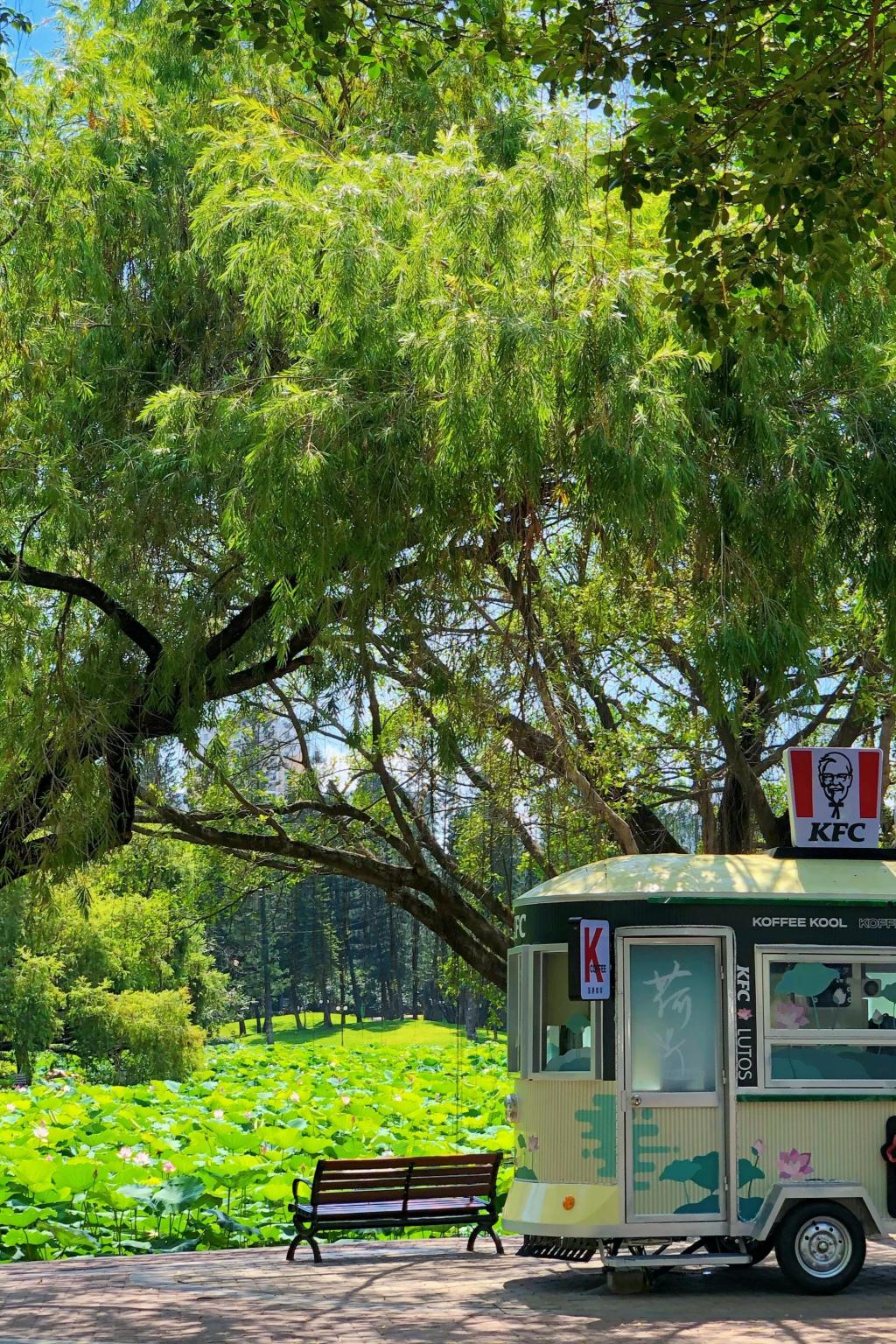 夏季图片风景_夏季风景图片大全大自然_夏季风景图片大全真实