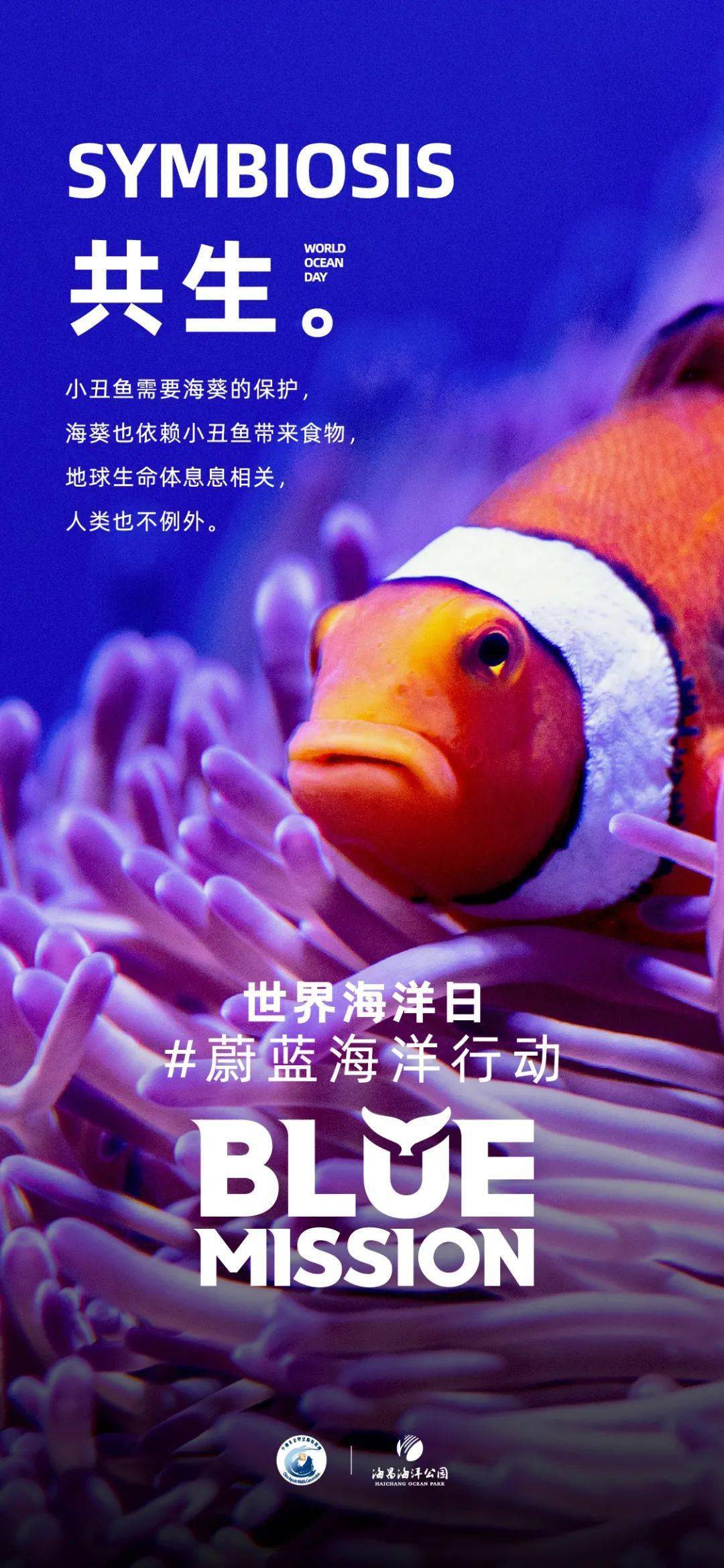 世界海洋日是几月几日_海洋世界什么_海洋世界海洋世界