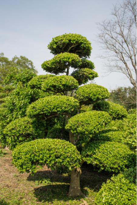 推荐手机游戏射击_推荐手机游戏排行榜_四五百块的游戏手机推荐