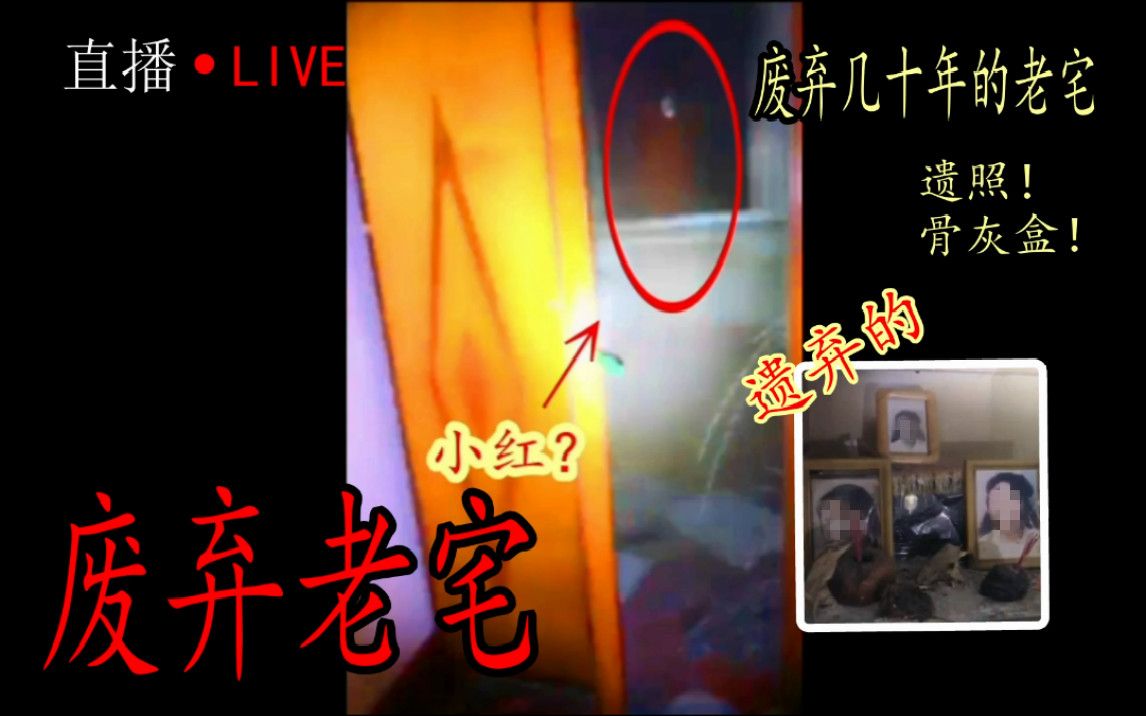 幽灵房子游戏_幽灵房屋手机游戏_幽灵房屋手机游戏攻略