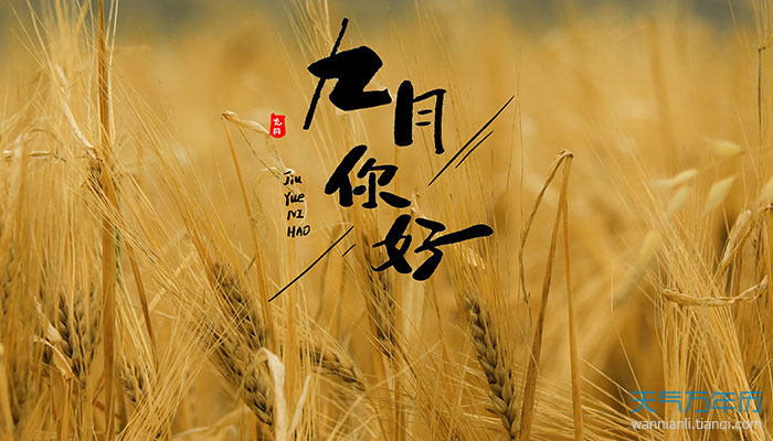 1990年10月_哪些年是闰月年_2025年是不是闰月年